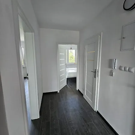 Marcello Teczowe 8b 8 * Dzierżoniów