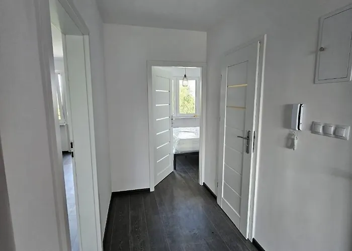 Marcello Teczowe 8b 8 * Dzierżoniów